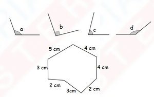 IMO Class 3 level 2 Question Paper - Set 6