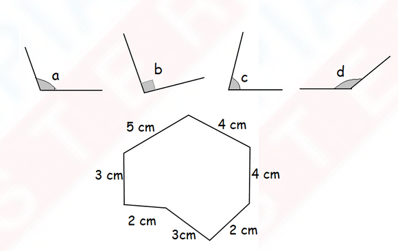 IMO Class 3 level 2 Question Paper - Set 6