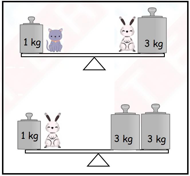 Math Sample Test on Length, Weight, Capacity for Grade 2