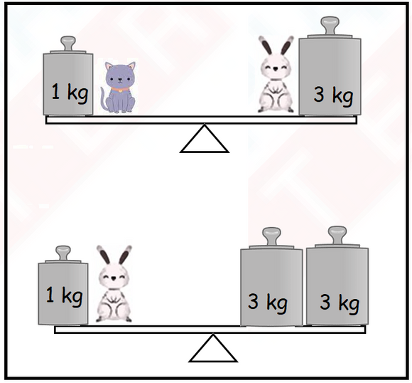 Math Sample Test on Length, Weight, Capacity for Grade 2