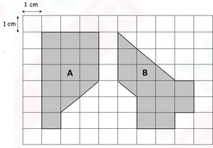 Class 3 IMO Higher Order Thinking Questions on Geometry