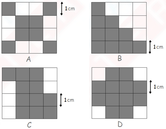 IMO Class 3 Level 2 question paper from previous years