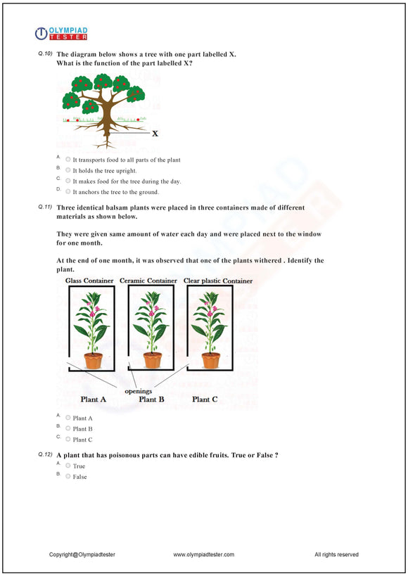 Class 2 Science HOTS - Plants - PDF MCQ Worksheet 06