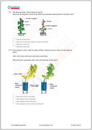 Class 2 Science HOTS - Plants - Worksheet 08