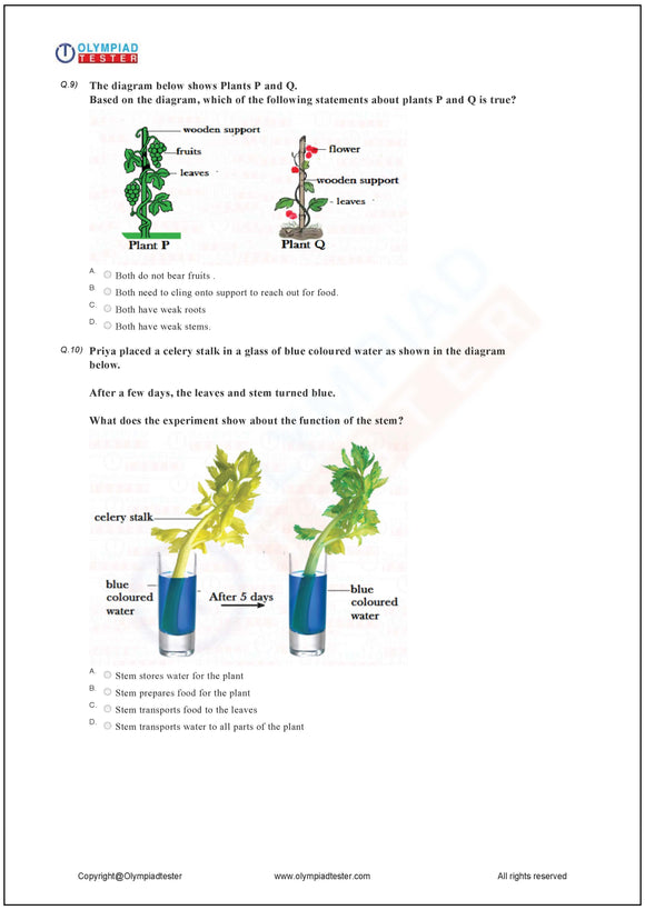 CBSE Class 2 Science higher order thinking skills (HOTS) worksheets on plants