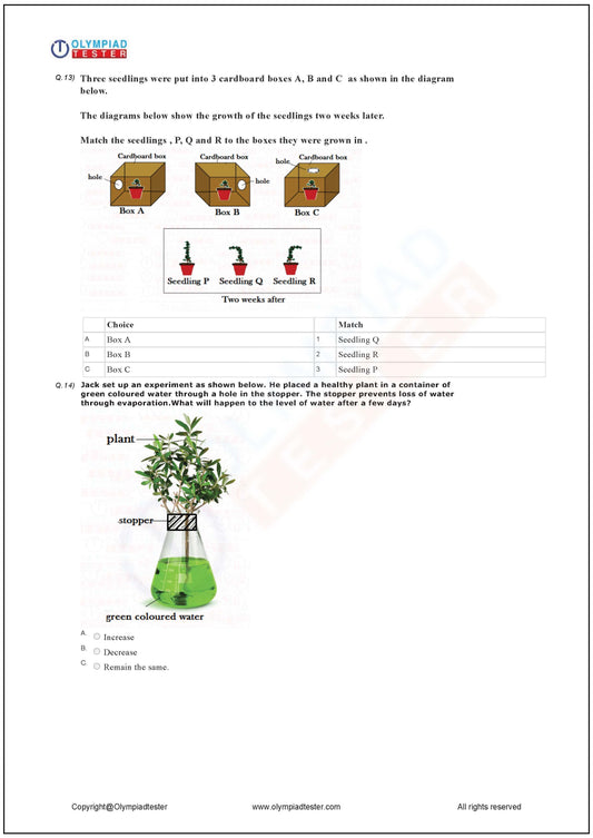Class 2 Science HOTS - Plants - PDF Worksheet 10