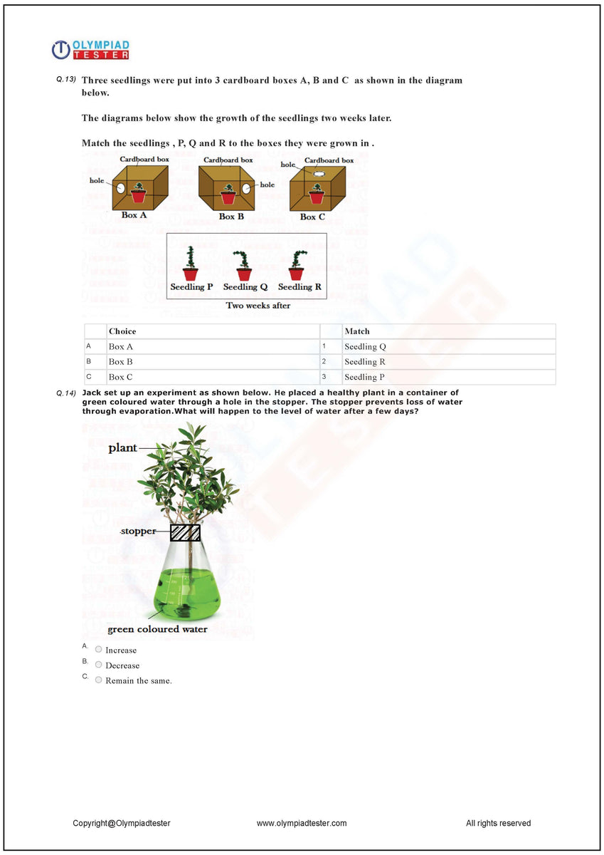 Class 2 Science HOTS - Plants - Worksheet 10 | Olympiad tester