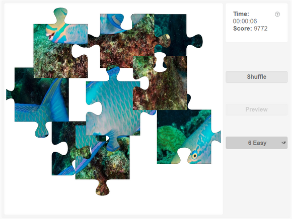 Online jigsaw puzzle - Identify the fish #8