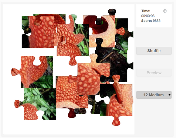 Online jigsaw puzzle - Rafflesia