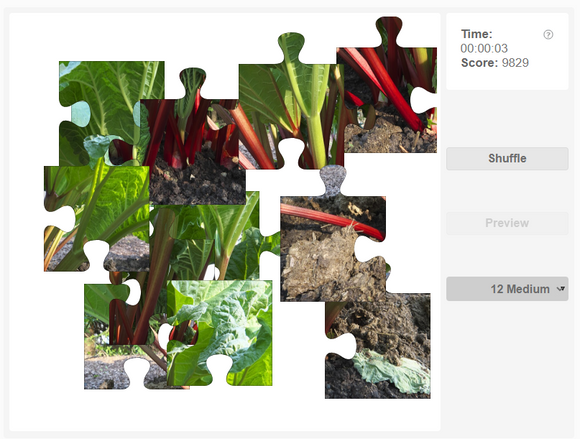 Online jigsaw puzzles - Plants - Rhubarb