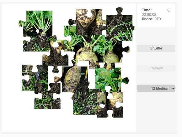 Online jigsaw puzzles - Plants - Rutabaga