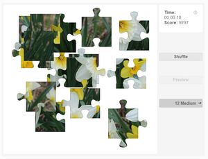 Puzzle - Flowers - Daffodils