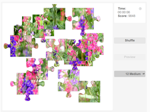 Puzzle - Flowers - Larkspur
