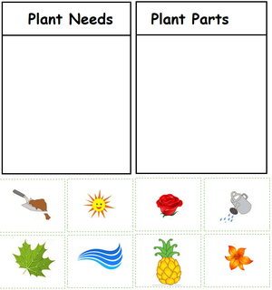 Free Kindergarten Worksheets - Plants 12