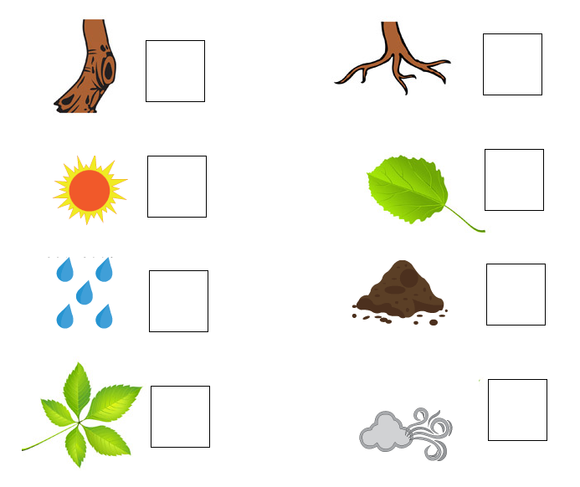 Download Kindergarten worksheets on plants for free.These worksheets of kindergarten are in PDF form and cover all topics that a preschooler needs for a smooth transition to school. 