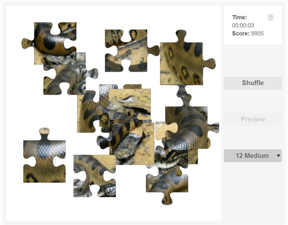Free online jigsaw puzzles - Anaconda