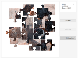 American Bison Jigsaw Puzzle