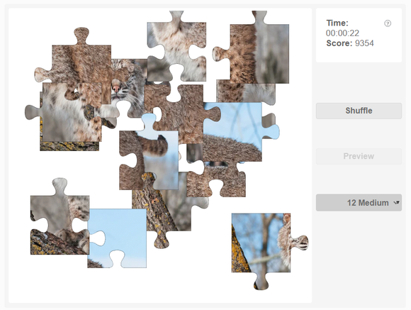 Free online jigsaw puzzle - Bobcat