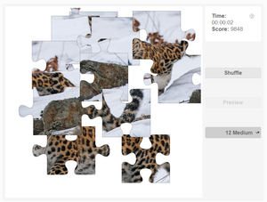 Amur Leopard Jigsaw Puzzle - A Rare Big Cat