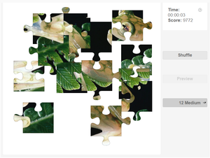 Reticulated glass frog jigsaw puzzle