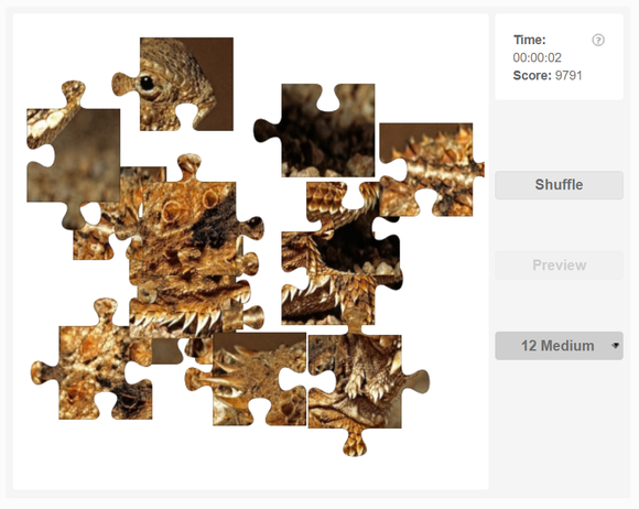 Online jigsaw puzzle - Regal horned lizard