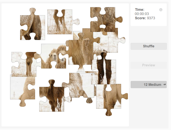 Online jigsaw puzzle - Bactrian camel