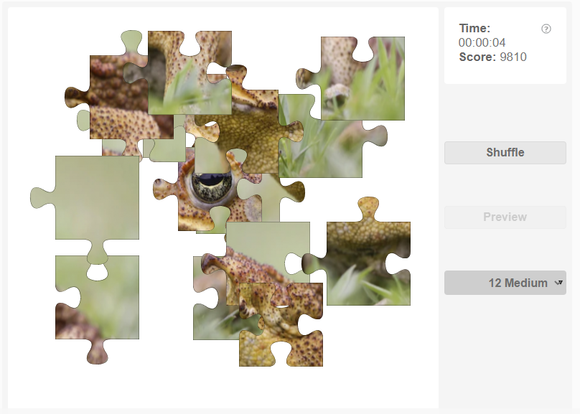 Free online jigsaw puzzle - Cane toad
