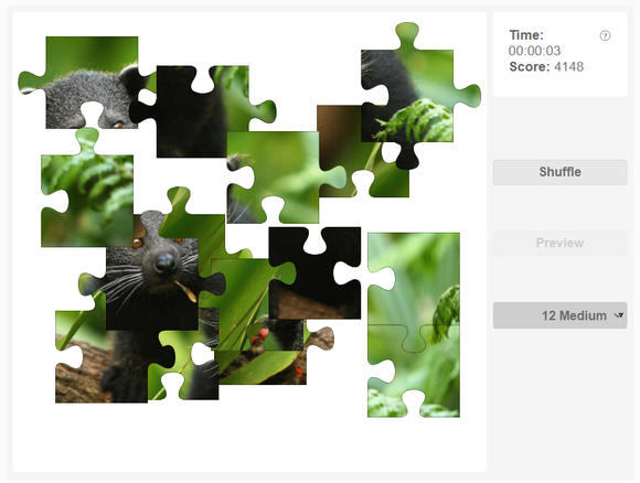 Online jigsaw puzzle - Binturong