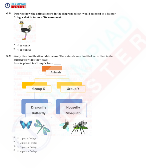 Class 2 Science HOTS - Animals - PDF Worksheet 05 | Olympiad tester