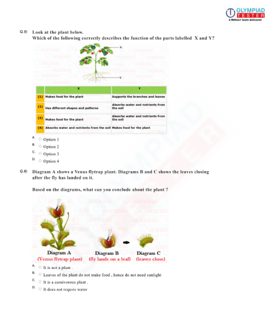 Class 2 Science Higher Order Thinking (HOTS) - Plants - Printable PDF Worksheets