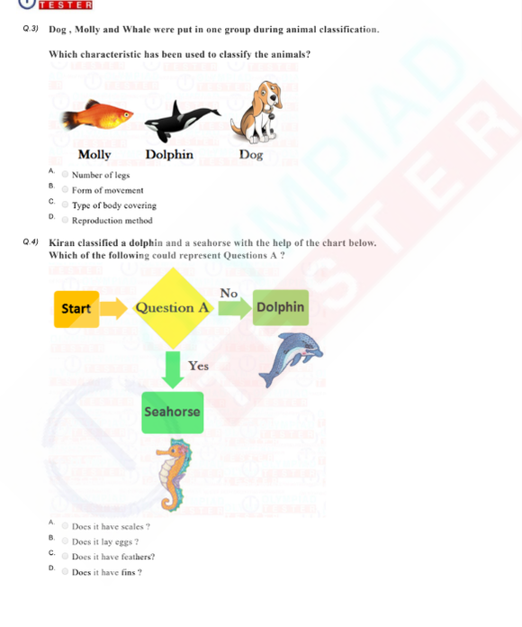 Class 2 Science HOTS - Animals - PDF Worksheet 04