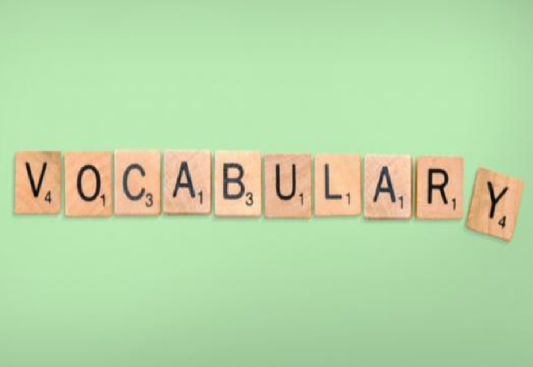 Online English Olympiad Class 2 mock test - Vocabulary