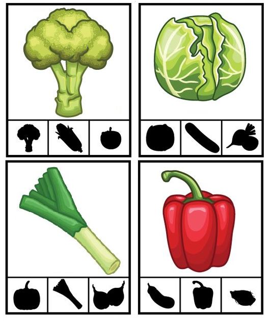 Shadow Matching Worksheet #17