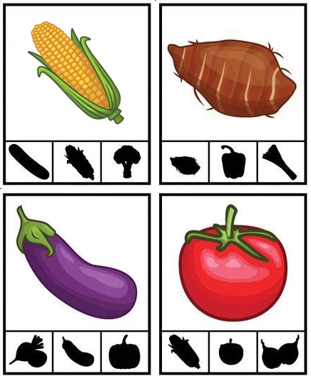 Matching Shadow Worksheet #20