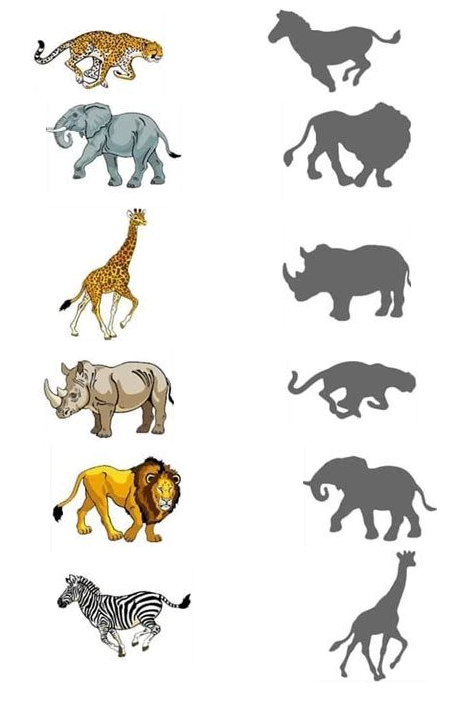 Download and print this animal shadow matching worksheet for kindergarten as PDF.