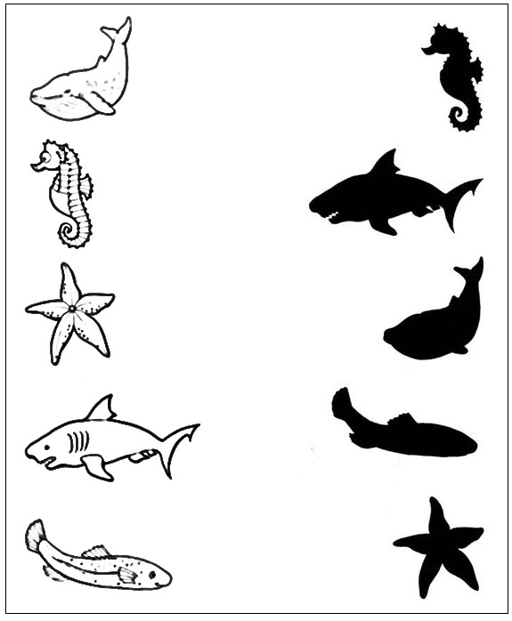 Download this free printable kindergarten worksheet on animal shadow matching.