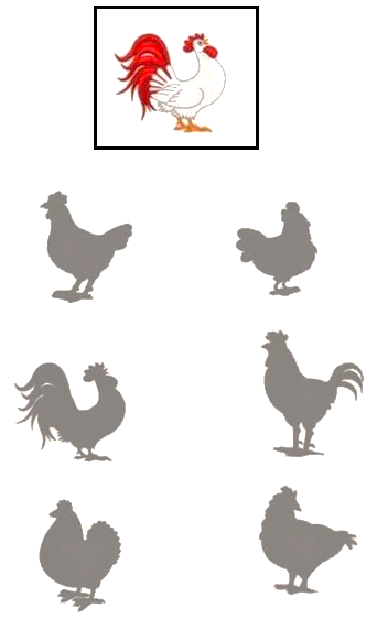 Shadow Matching Worksheet #44