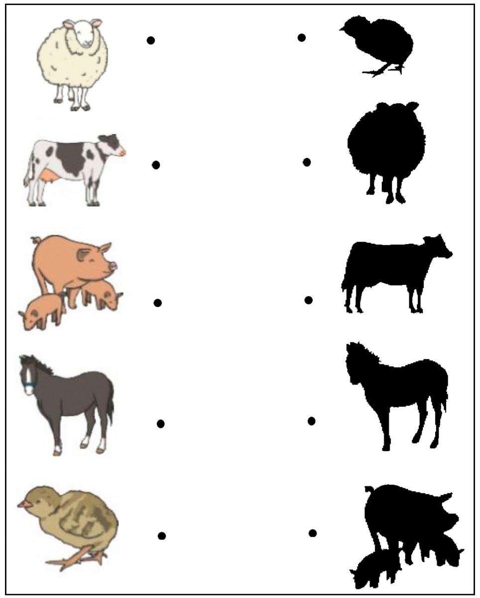 Free Printable Science Worksheets for Preschool - Animals 40 | Olympiad ...