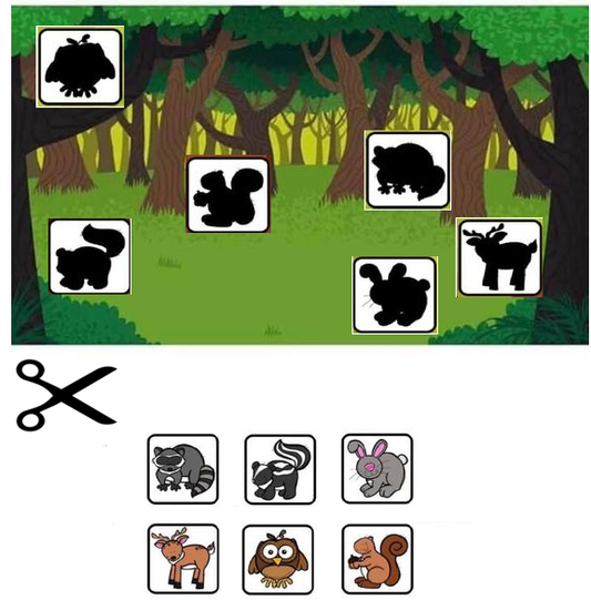 Shadow matching Worksheet #54