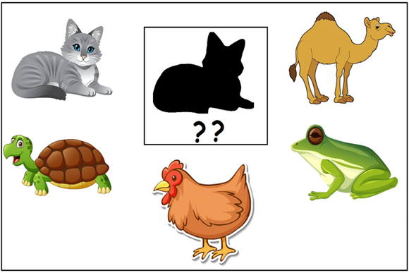 This is a free preschool and kindergarten worksheet on shadow matching.