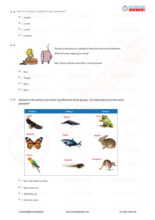 Class 1 NSO Science Olympiad - Sample mock test paper #05