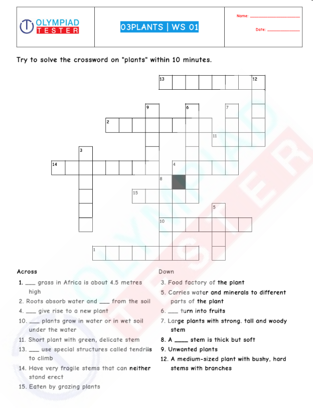 Science crossword puzzle for Grade 3 - Plants #1