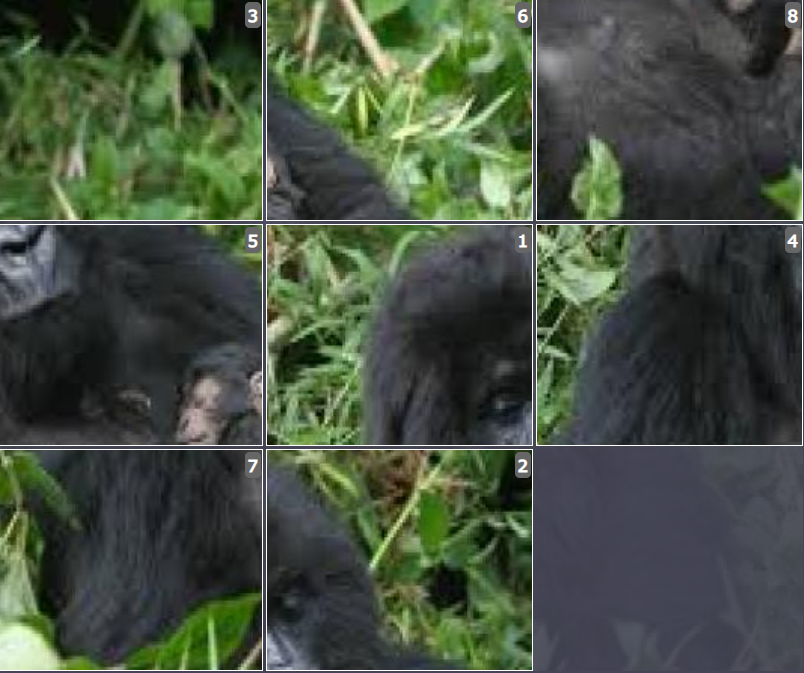 Online Sliding puzzle for kids - Cross river Gorilla