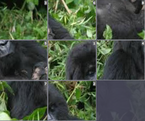 Online Brain games for kids - Sliding puzzle on Cross river Gorilla