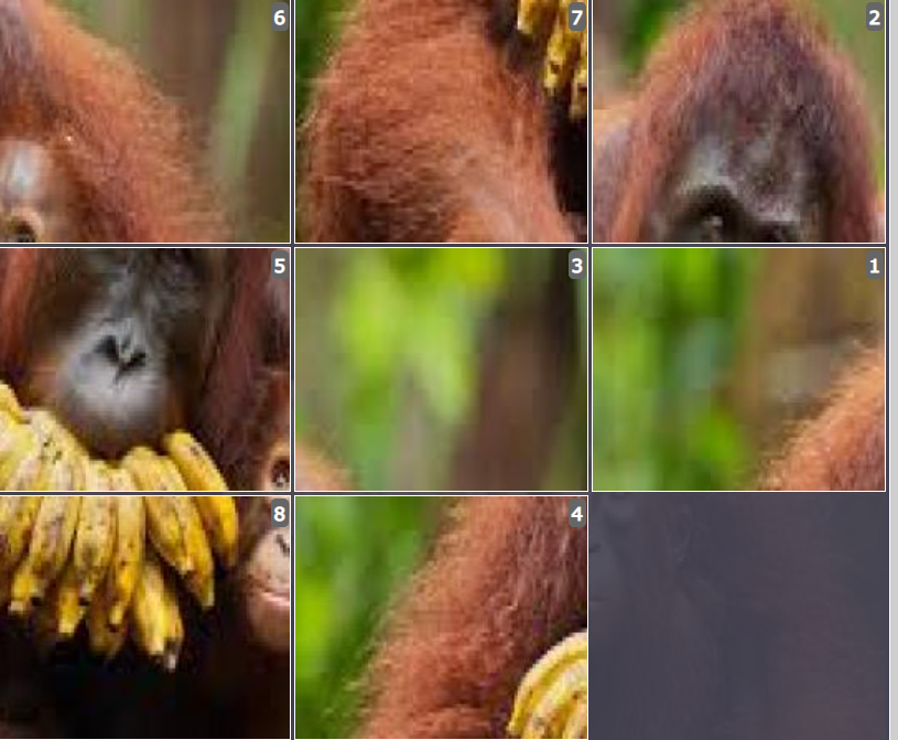 Online sliding puzzles for kids - Orangutan