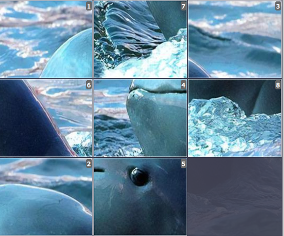 Online Brain games for kids - Sliding puzzle on Irrawaddy Dolphin