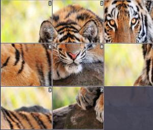 Online Sliding puzzles for kids -  South China Tiger