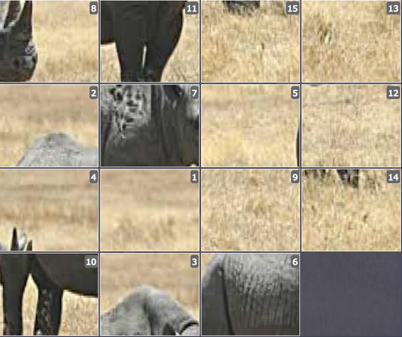 Online Brain games for kids - Sliding puzzle on Black Rhino