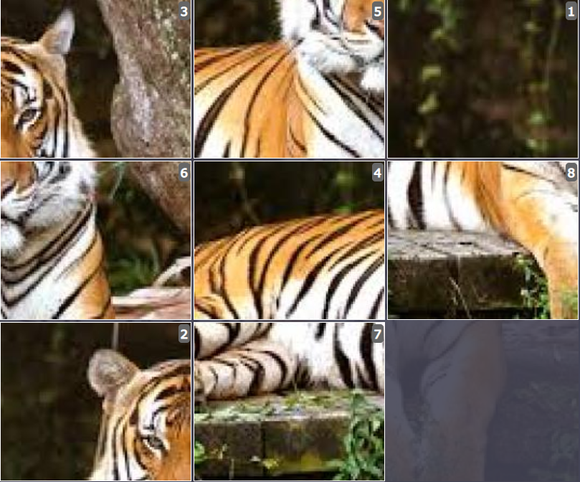 Online sliding puzzles for kids - Malayan tiger