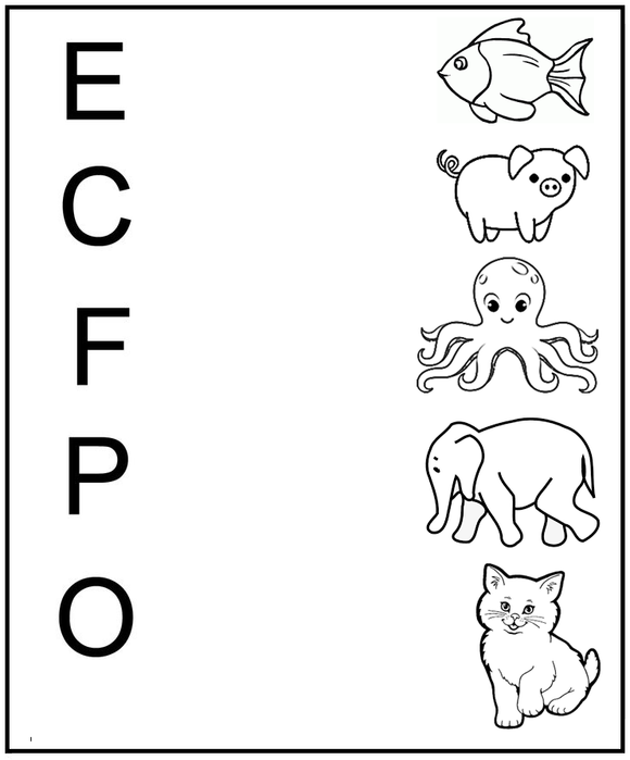 Download free kindergarten and preschool worksheets on animals . This worksheet for kindergarten on animals is printable in PDF form.